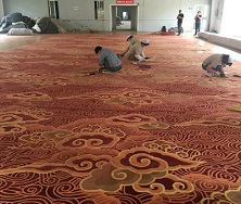满铺地毯生产基地